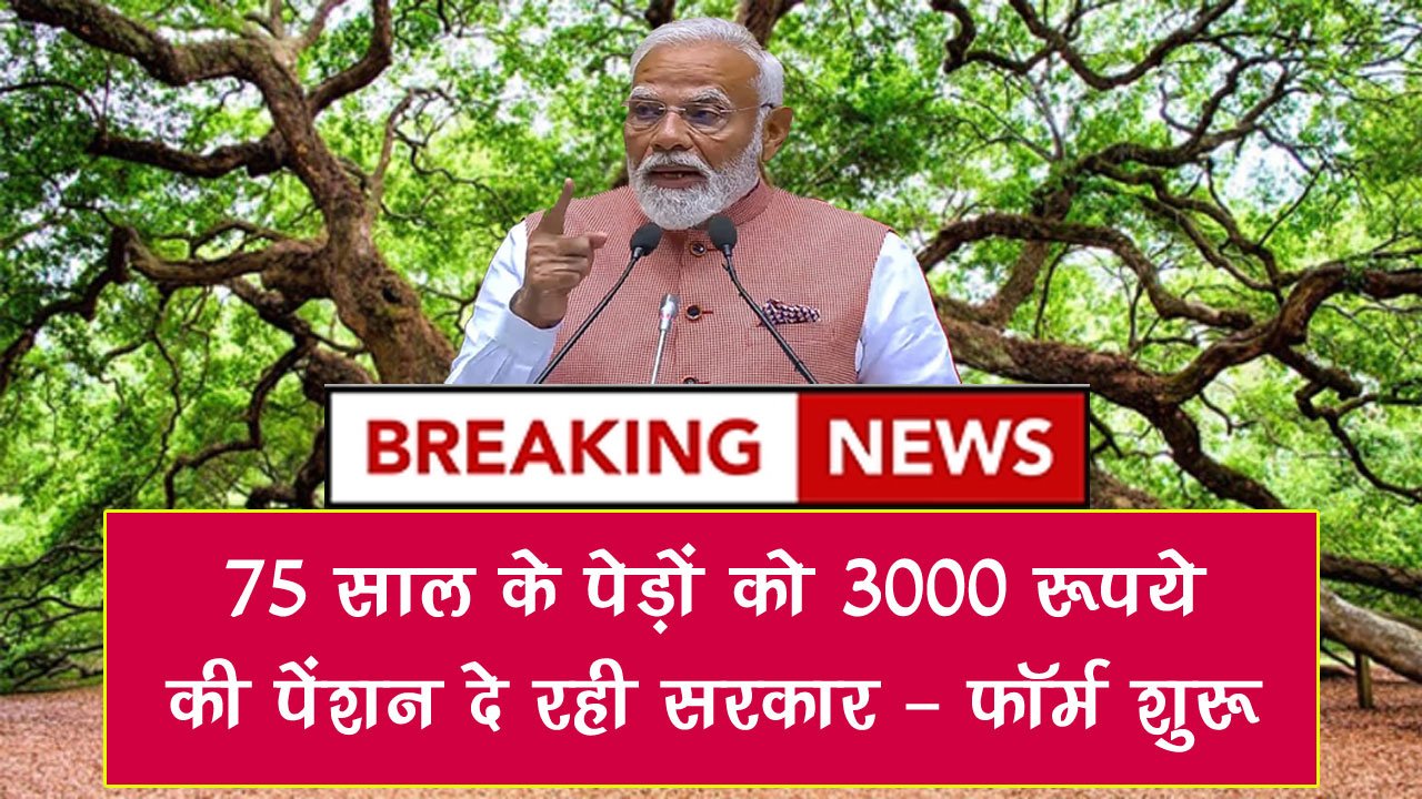 Tree Pension Scheme, प्राण वायु देवता पेंशन योजना: हरियाणा में 75 साल के पेड़ों को 3000 रूपये की पेंशन दे रही सरकार, ऐसे करें आवेदन Tree Pension Scheme